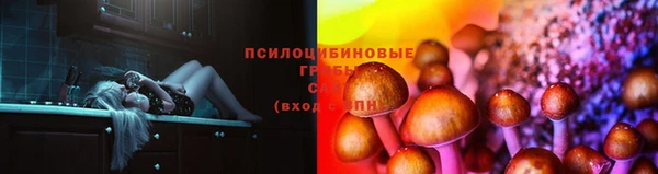 молекула духа Дмитриев