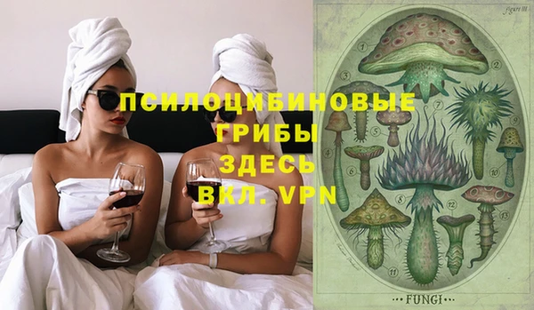 ешки Дмитров