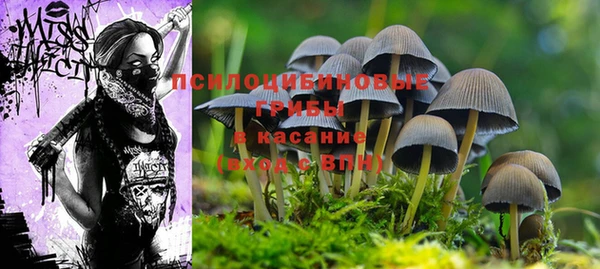 ешки Дмитров