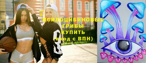 ешки Дмитров