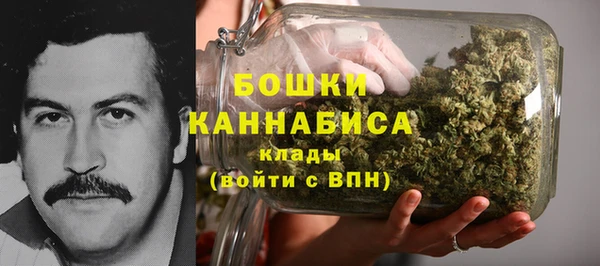 молекула духа Дмитриев