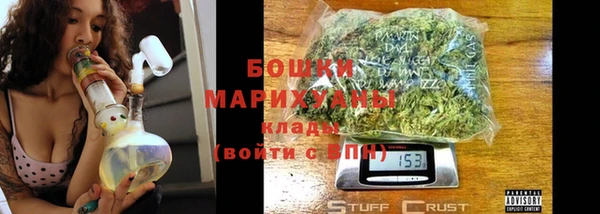 молекула духа Дмитриев